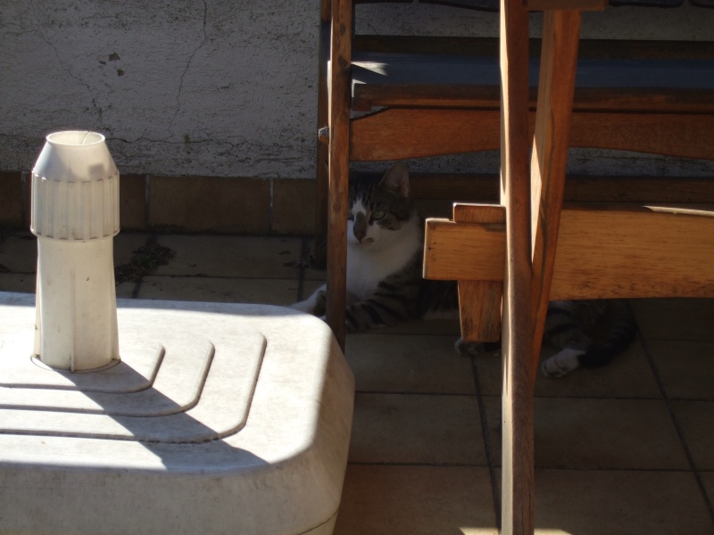 Ostern 2007 Orleshausen 052 